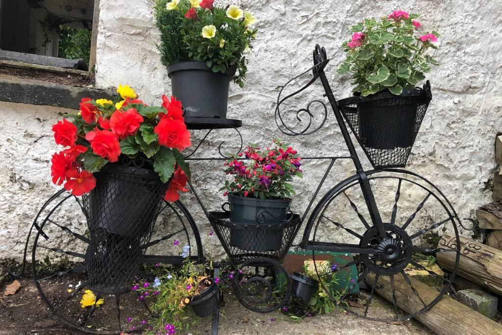 Rhubarb Cottage Enniskillen Buitenkant foto